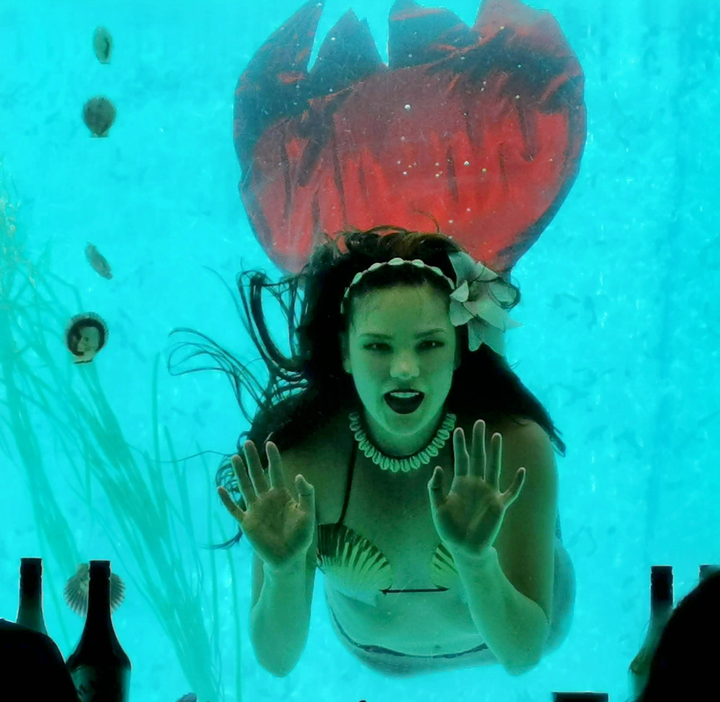 IMG 20231104 1248552